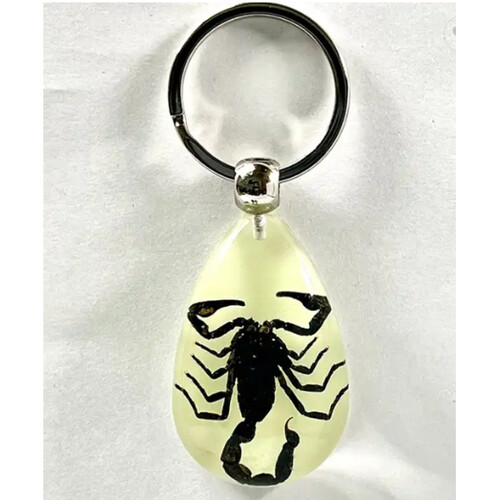  NUC-Scorpion keychain  Thumbnail